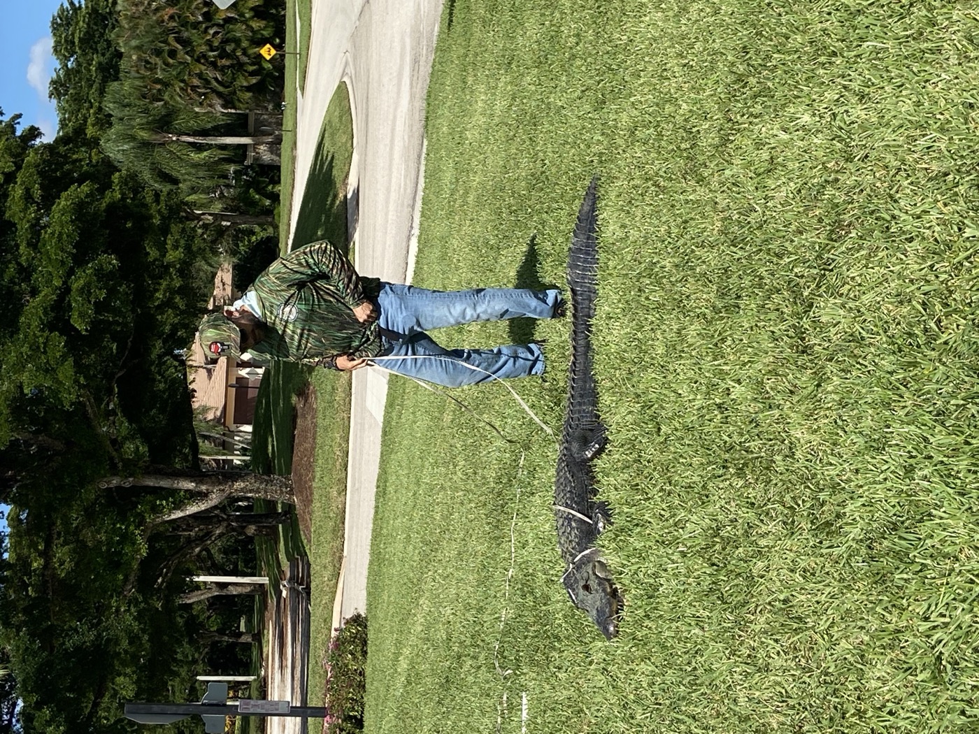 Bat Removal in South Florida by Florida Wildlife Pros