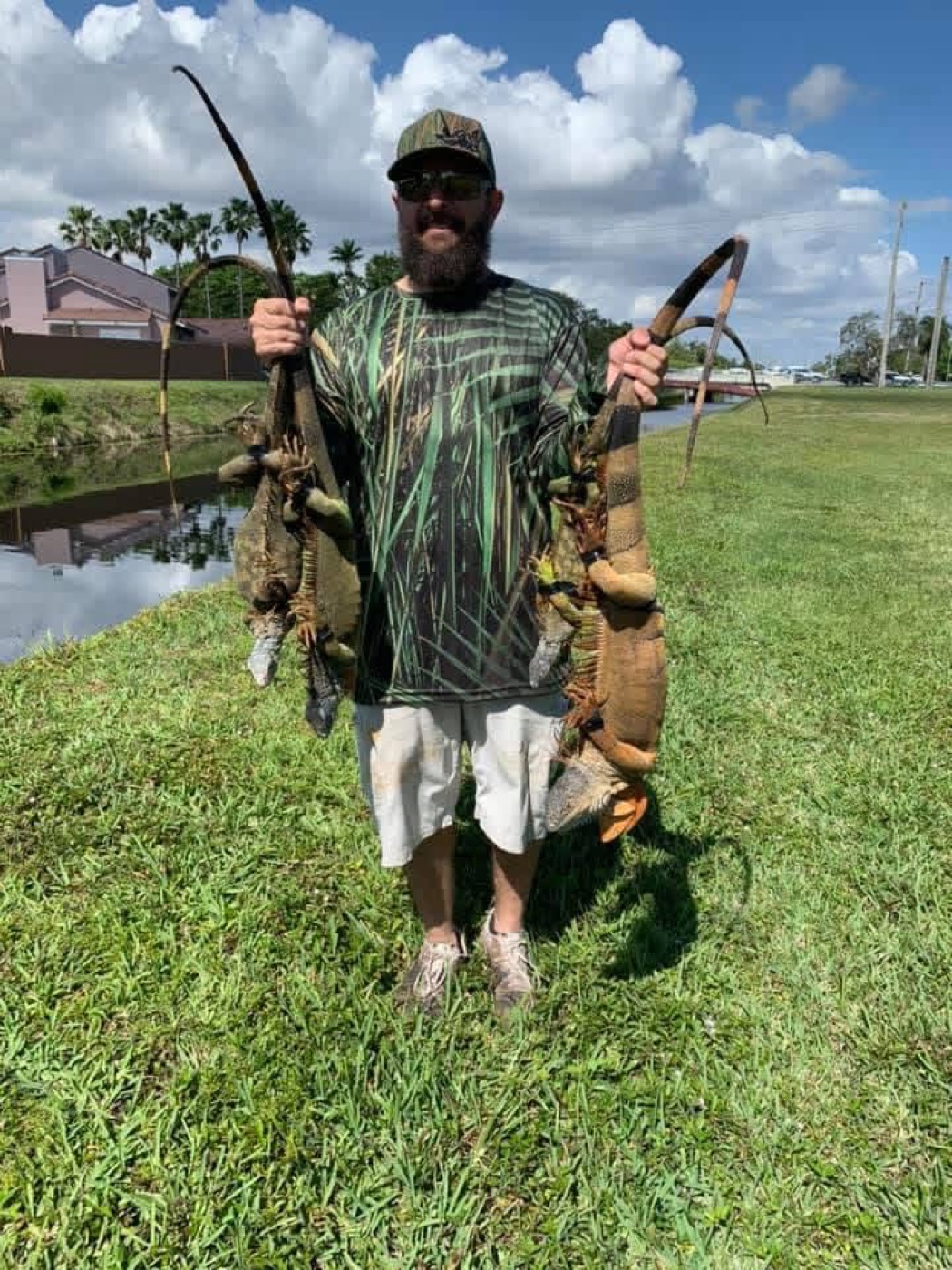 Licensed trapper holding large invasive iguanas removed from a South Florida community